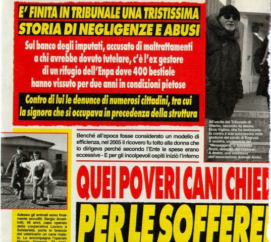 canileVITERBO 1 feb2009